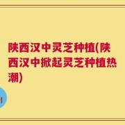 陕西汉中灵芝种植(陕西汉中掀起灵芝种植热潮)