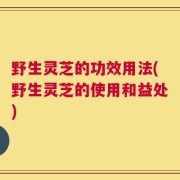 野生灵芝的功效用法(野生灵芝的使用和益处)