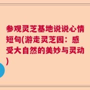 参观灵芝基地说说心情短句(游走灵芝园：感受大自然的美妙与灵动)