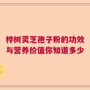 桦树灵芝孢子粉的功效与营养价值你知道多少