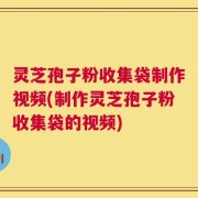 灵芝孢子粉收集袋制作视频(制作灵芝孢子粉收集袋的视频)