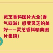 灵芝香料图片大全(香气四溢！感受灵芝的美好——灵芝香料精美图片集锦)
