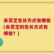 赤灵芝生长方式有哪些(赤灵芝的生长方式有哪些？)