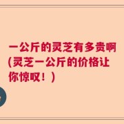 一公斤的灵芝有多贵啊(灵芝一公斤的价格让你惊叹！)