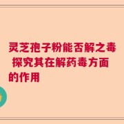 灵芝孢子粉能否解之毒 探究其在解药毒方面的作用