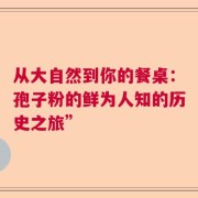 从大自然到你的餐桌：孢子粉的鲜为人知的历史之旅”