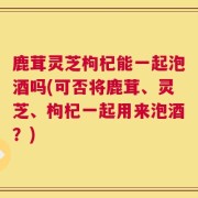 鹿茸灵芝枸杞能一起泡酒吗(可否将鹿茸、灵芝、枸杞一起用来泡酒？)