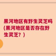 黑河地区有野生灵芝吗(黑河地区是否存在野生灵芝?)