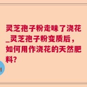 灵芝孢子粉走味了浇花_灵芝孢子粉变质后，如何用作浇花的天然肥料？