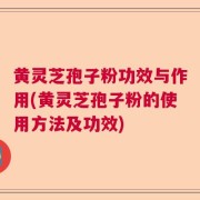 黄灵芝孢子粉功效与作用(黄灵芝孢子粉的使用方法及功效)