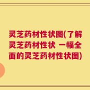 灵芝药材性状图(了解灵芝药材性状 一幅全面的灵芝药材性状图)