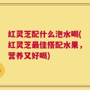 红灵芝配什么泡水喝(红灵芝最佳搭配水果，营养又好喝)