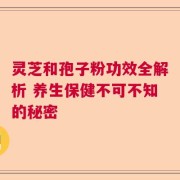 灵芝和孢子粉功效全解析 养生保健不可不知的秘密