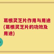 葛根灵芝片作用与用途(葛根灵芝片的功效及用途)