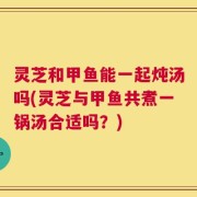 灵芝和甲鱼能一起炖汤吗(灵芝与甲鱼共煮一锅汤合适吗？)