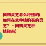 网购灵芝怎么种植的(如何在家种植购买的灵芝？ - 网购灵芝种植指南)