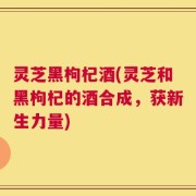 灵芝黑枸杞酒(灵芝和黑枸杞的酒合成，获新生力量)