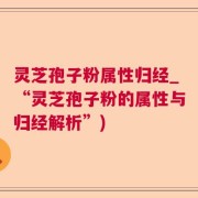 灵芝孢子粉属性归经_“灵芝孢子粉的属性与归经解析”)