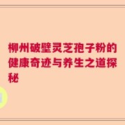 柳州破壁灵芝孢子粉的健康奇迹与养生之道探秘