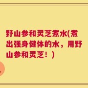 野山参和灵芝煮水(煮出强身健体的水，用野山参和灵芝！)