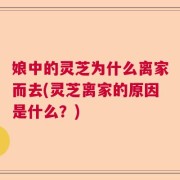 娘中的灵芝为什么离家而去(灵芝离家的原因是什么？)