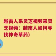 越南人采灵芝视频采灵芝视频：越南人如何寻找神奇草药)
