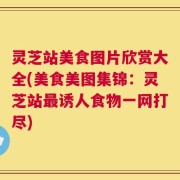 灵芝站美食图片欣赏大全(美食美图集锦：灵芝站最诱人食物一网打尽)
