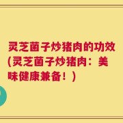 灵芝菌子炒猪肉的功效(灵芝菌子炒猪肉：美味健康兼备！)