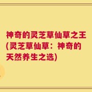 神奇的灵芝草仙草之王(灵芝草仙草：神奇的天然养生之选)