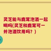 灵芝能与鹿茸泡酒一起喝吗(灵芝和鹿茸可一并泡酒饮用吗？)
