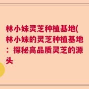 林小妹灵芝种植基地(林小妹的灵芝种植基地：探秘高品质灵芝的源头