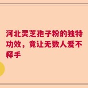 河北灵芝孢子粉的独特功效，竟让无数人爱不释手