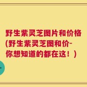 野生紫灵芝图片和价格(野生紫灵芝图和价-你想知道的都在这！)