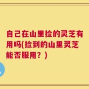 自己在山里捡的灵芝有用吗(捡到的山里灵芝能否服用？)