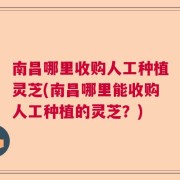 南昌哪里收购人工种植灵芝(南昌哪里能收购人工种植的灵芝？)