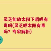 灵芝能放太阳下晒吗有毒吗(灵芝晒太阳有毒吗？专家解析)