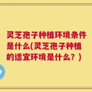 灵芝孢子种植环境条件是什么(灵芝孢子种植的适宜环境是什么？)