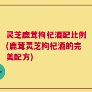 灵芝鹿茸枸杞酒配比例(鹿茸灵芝枸杞酒的完美配方)