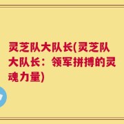 灵芝队大队长(灵芝队大队长：领军拼搏的灵魂力量)