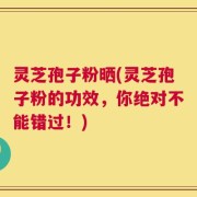 灵芝孢子粉晒(灵芝孢子粉的功效，你绝对不能错过！)