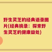 野生灵芝的经典语录图片(经典摘录：探索野生灵芝的健康益处)