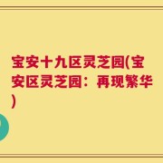 宝安十九区灵芝园(宝安区灵芝园：再现繁华)