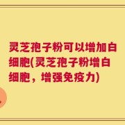 灵芝孢子粉可以增加白细胞(灵芝孢子粉增白细胞，增强免疫力)