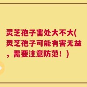 灵芝孢子害处大不大(灵芝孢子可能有害无益，需要注意防范！)