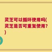 灵芝可以循环使用吗(灵芝是否可重复使用？)
