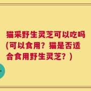 猫采野生灵芝可以吃吗(可以食用？猫是否适合食用野生灵芝？)