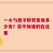 一小勺孢子粉究竟有多少克？你不知道的在这里