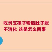 吃灵芝孢子粉后肚子胀不消化 这是怎么回事