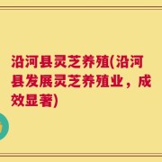 沿河县灵芝养殖(沿河县发展灵芝养殖业，成效显著)