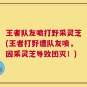 王者队友喷打野采灵芝(王者打野遭队友喷，因采灵芝导致团灭！)